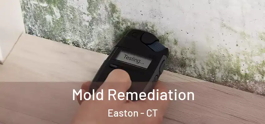 Mold Remediation Easton - CT