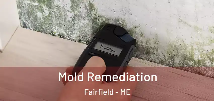 Mold Remediation Fairfield - ME
