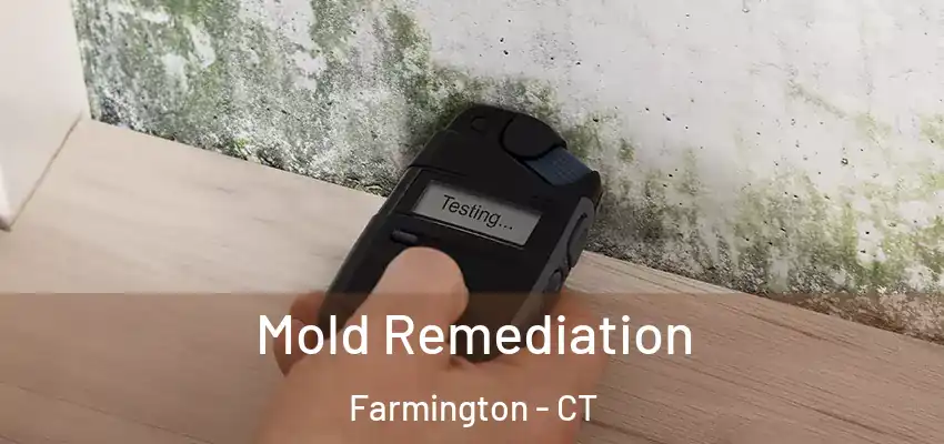  Mold Remediation Farmington - CT