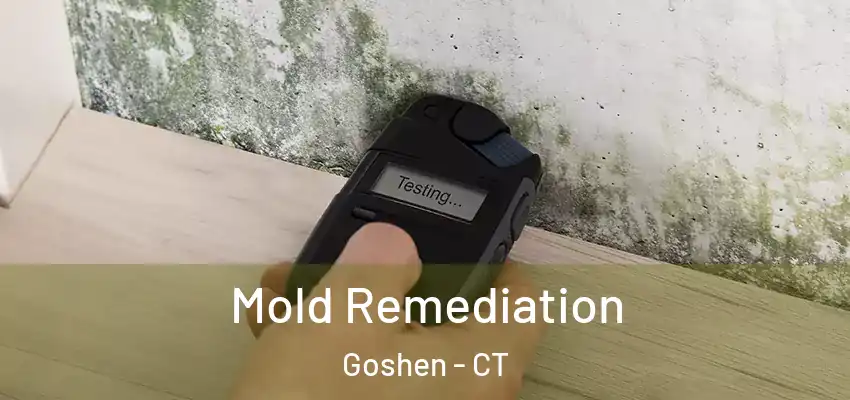  Mold Remediation Goshen - CT