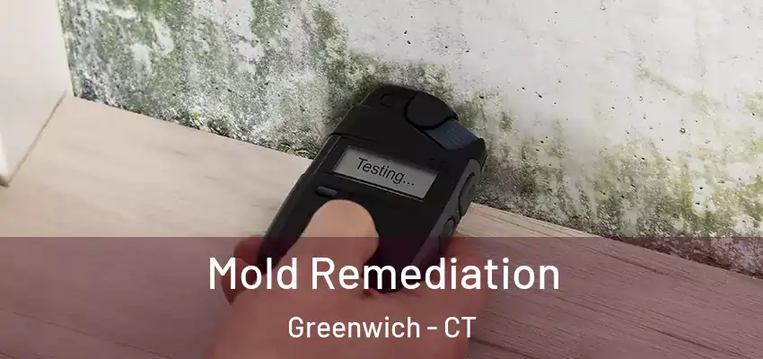  Mold Remediation Greenwich - CT