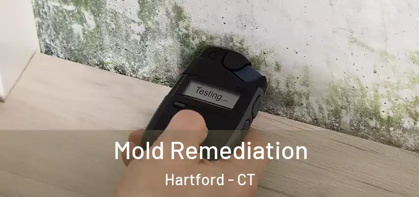 Mold Remediation Hartford - CT