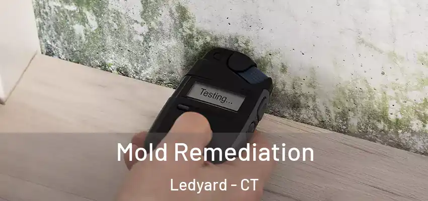 Mold Remediation Ledyard - CT