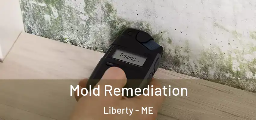 Mold Remediation Liberty - ME