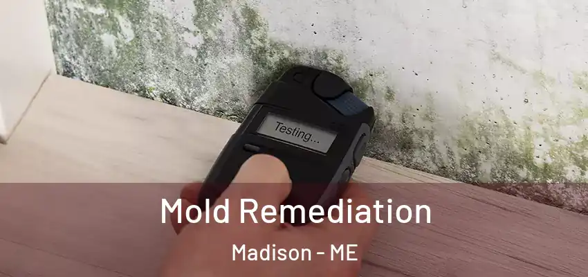 Mold Remediation Madison - ME