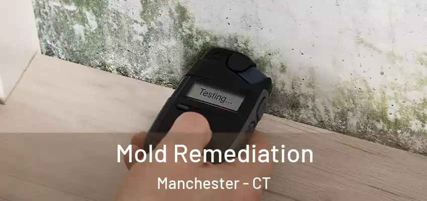 Mold Remediation Manchester - CT