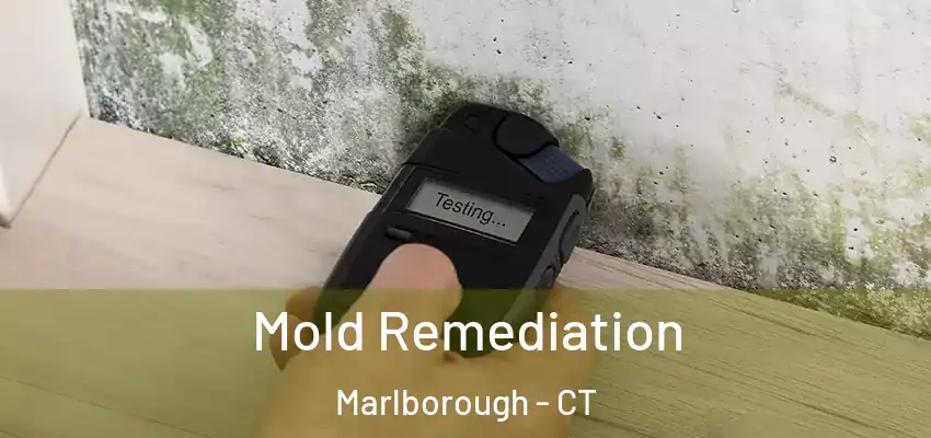 Mold Remediation Marlborough - CT