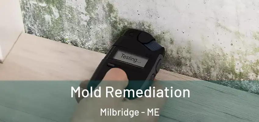 Mold Remediation Milbridge - ME