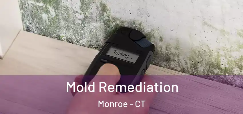 Mold Remediation Monroe - CT