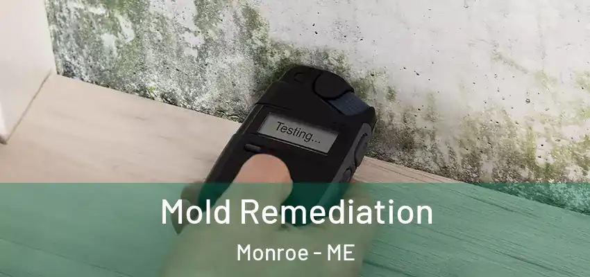 Mold Remediation Monroe - ME