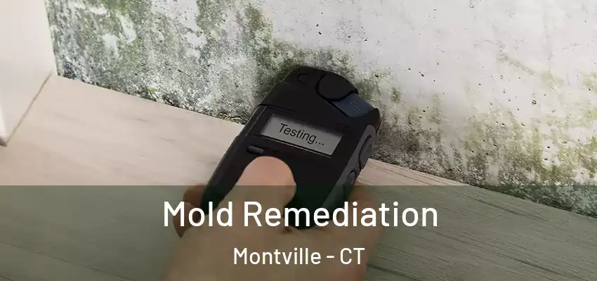 Mold Remediation Montville - CT