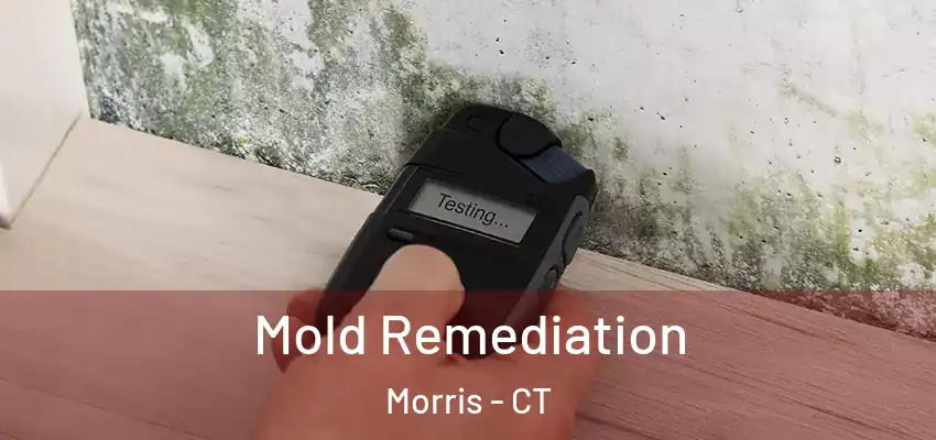 Mold Remediation Morris - CT