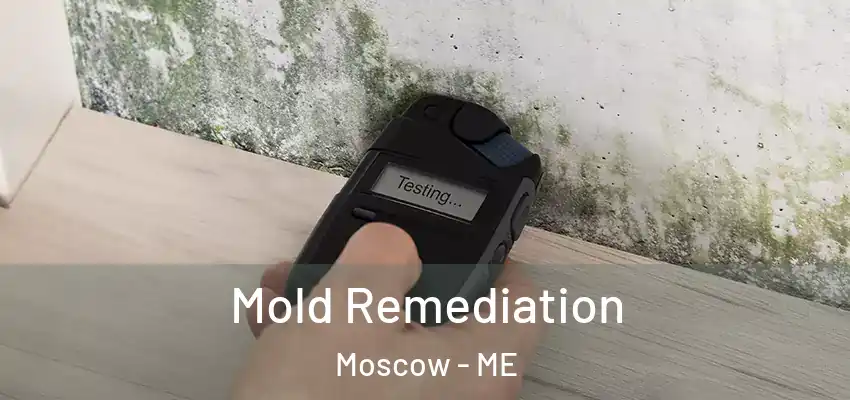  Mold Remediation Moscow - ME