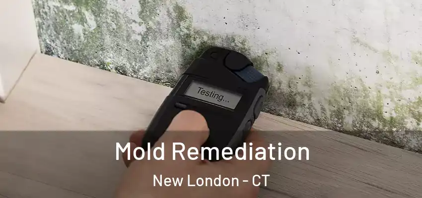 Mold Remediation New London - CT