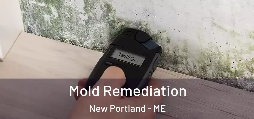  Mold Remediation New Portland - ME