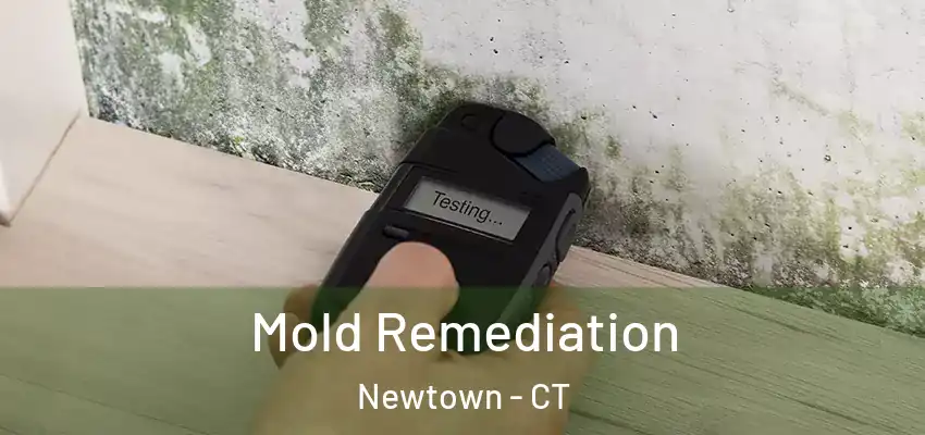 Mold Remediation Newtown - CT