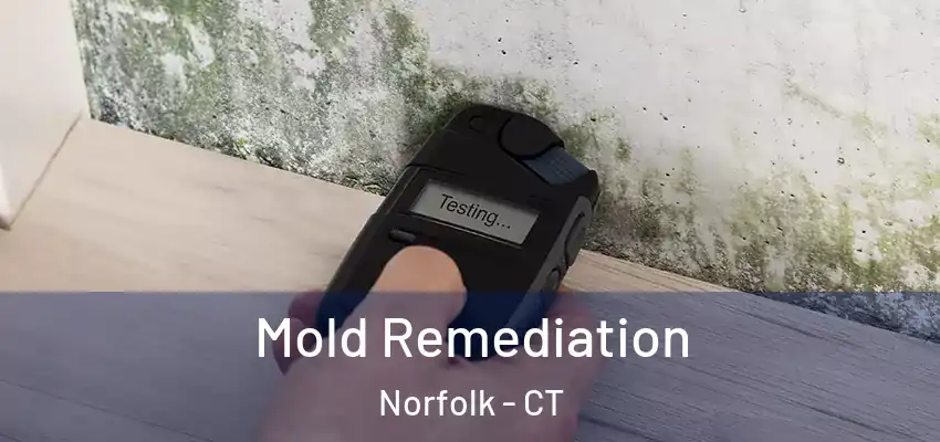 Mold Remediation Norfolk - CT