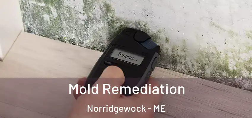 Mold Remediation Norridgewock - ME