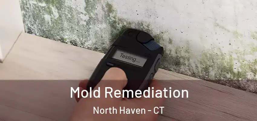  Mold Remediation North Haven - CT