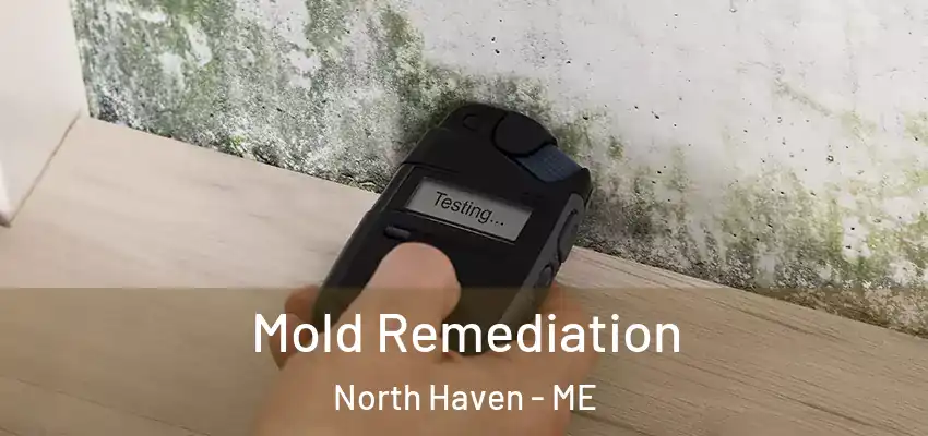  Mold Remediation North Haven - ME