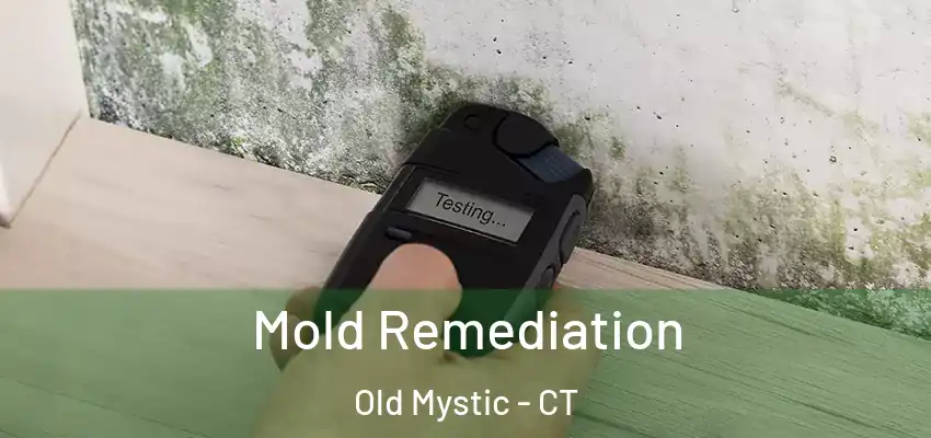 Mold Remediation Old Mystic - CT