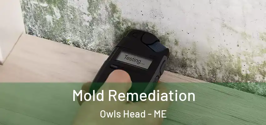 Mold Remediation Owls Head - ME