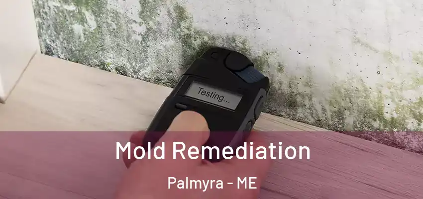  Mold Remediation Palmyra - ME