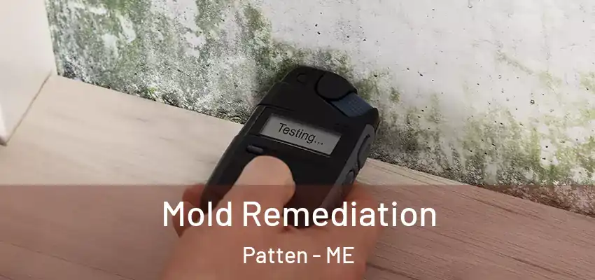 Mold Remediation Patten - ME
