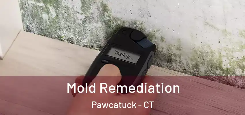 Mold Remediation Pawcatuck - CT