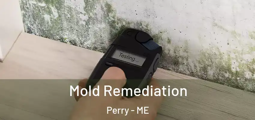 Mold Remediation Perry - ME