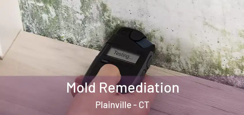 Mold Remediation Plainville - CT