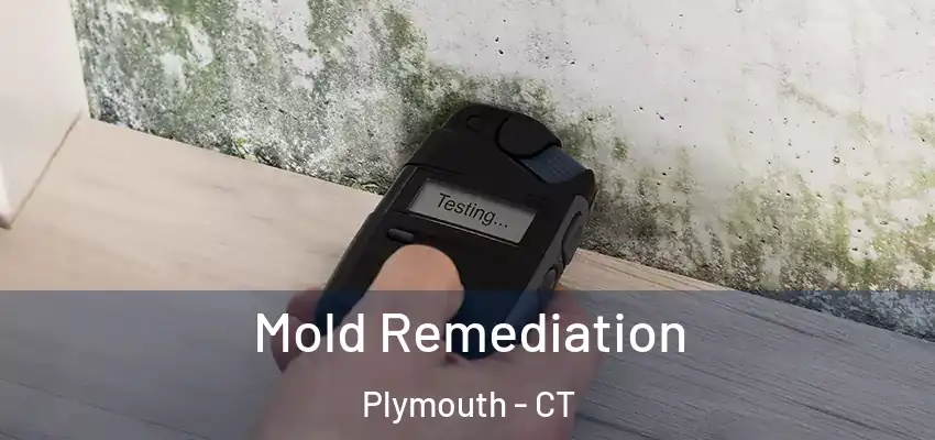  Mold Remediation Plymouth - CT