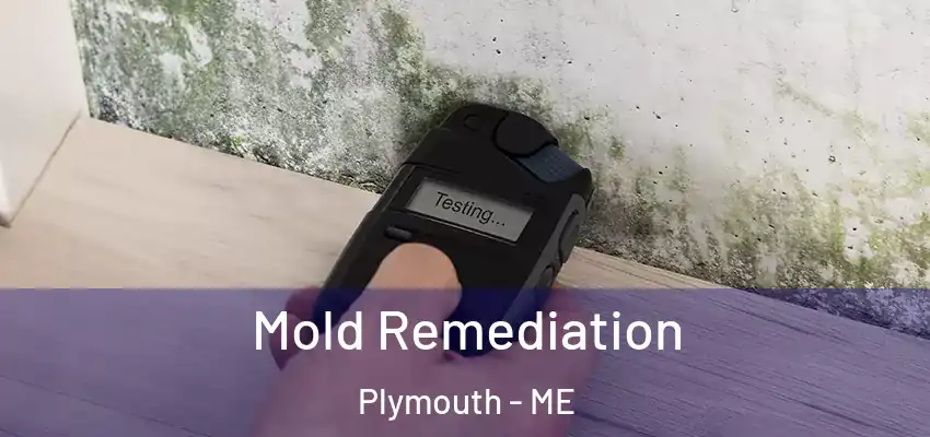  Mold Remediation Plymouth - ME