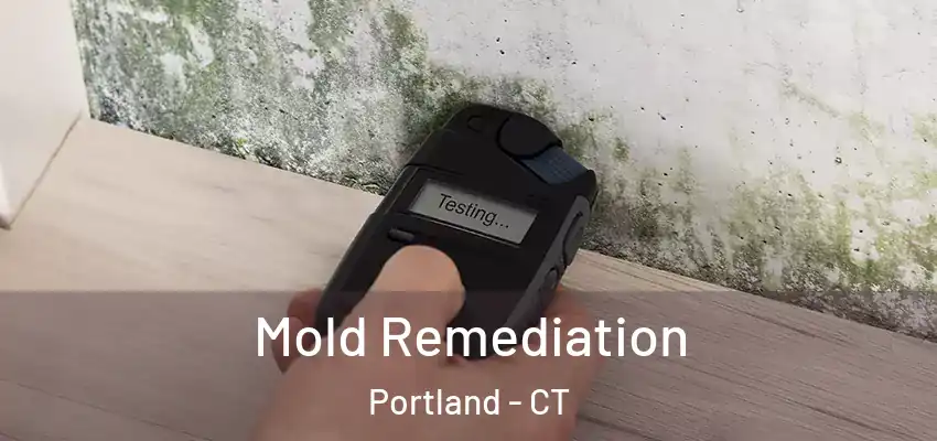  Mold Remediation Portland - CT