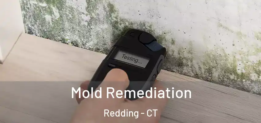 Mold Remediation Redding - CT
