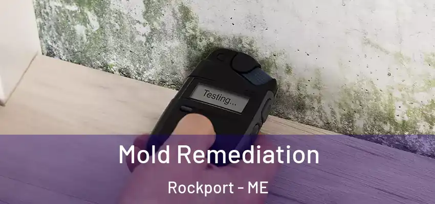 Mold Remediation Rockport - ME