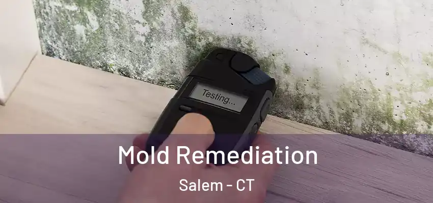 Mold Remediation Salem - CT