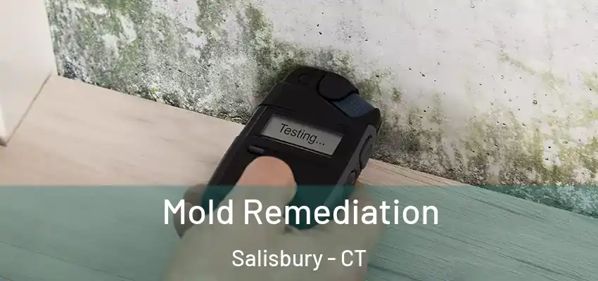  Mold Remediation Salisbury - CT