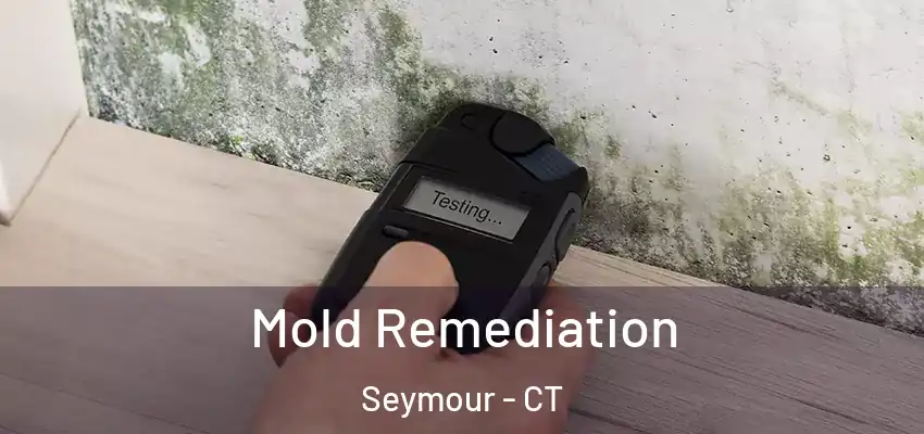  Mold Remediation Seymour - CT