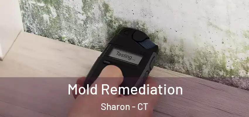  Mold Remediation Sharon - CT
