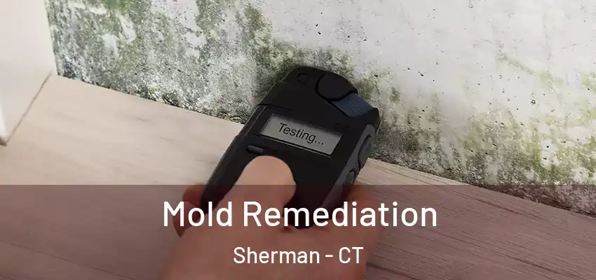 Mold Remediation Sherman - CT