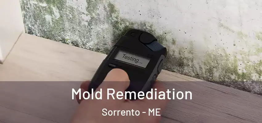 Mold Remediation Sorrento - ME