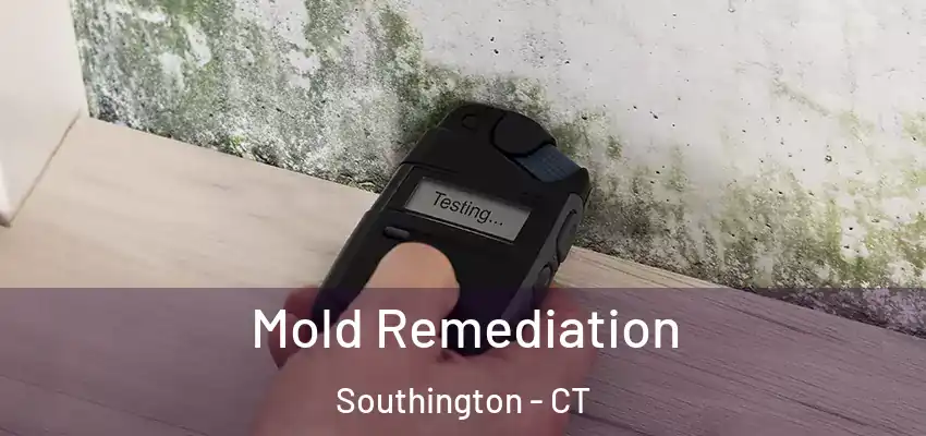 Mold Remediation Southington - CT