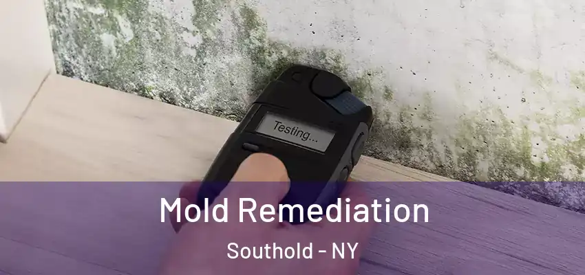  Mold Remediation Southold - NY