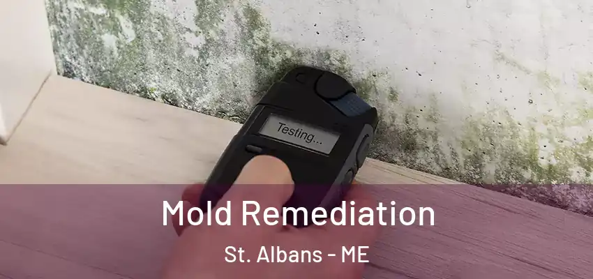  Mold Remediation St. Albans - ME