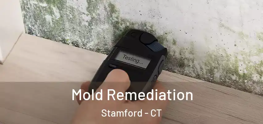 Mold Remediation Stamford - CT