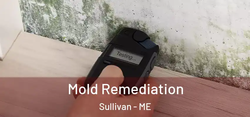 Mold Remediation Sullivan - ME