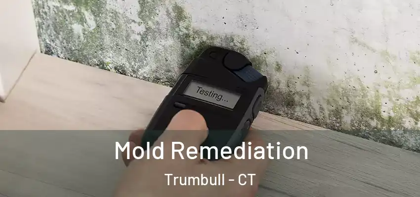 Mold Remediation Trumbull - CT