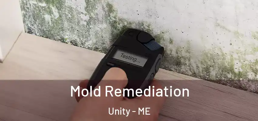 Mold Remediation Unity - ME