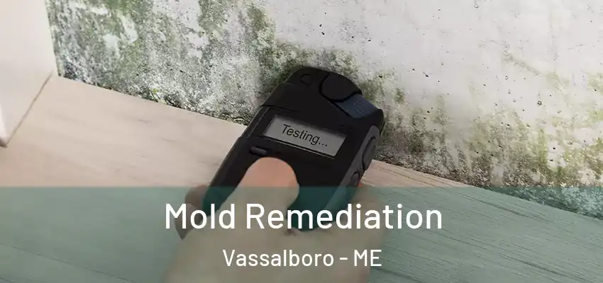  Mold Remediation Vassalboro - ME